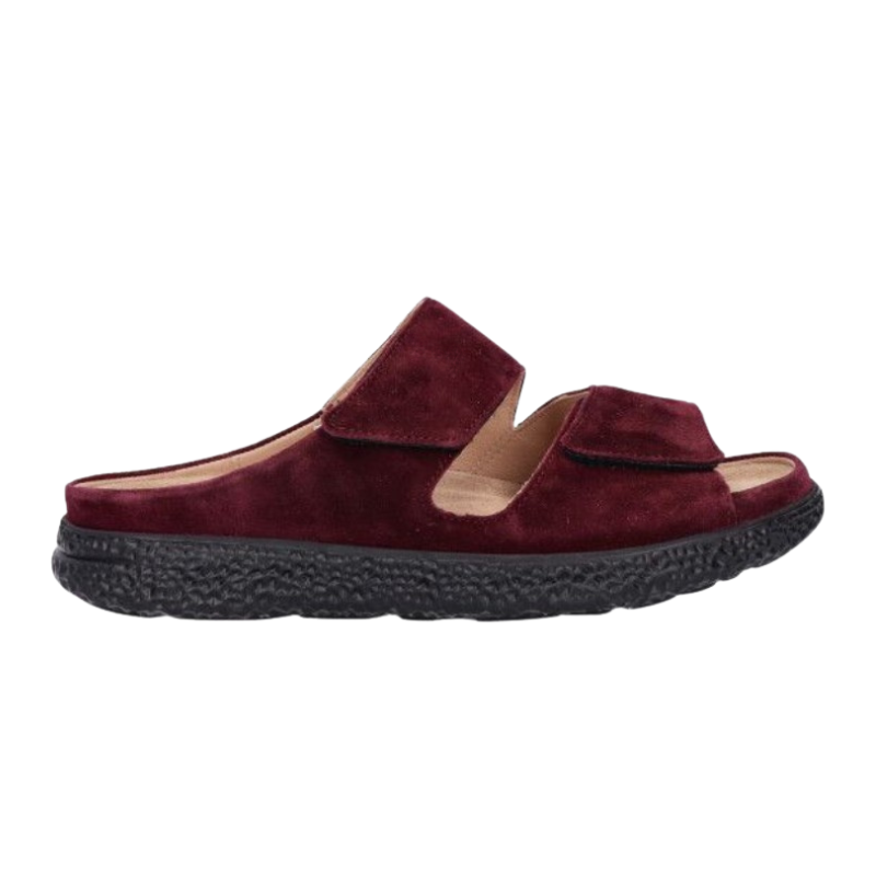 Hartjes mule femme - Aubergine