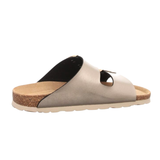 Article 165581 1