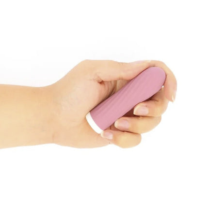 Bullie vibrator