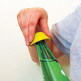 Flesopener